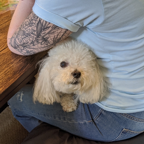 Meet your Posher, - Picture 1 of 5